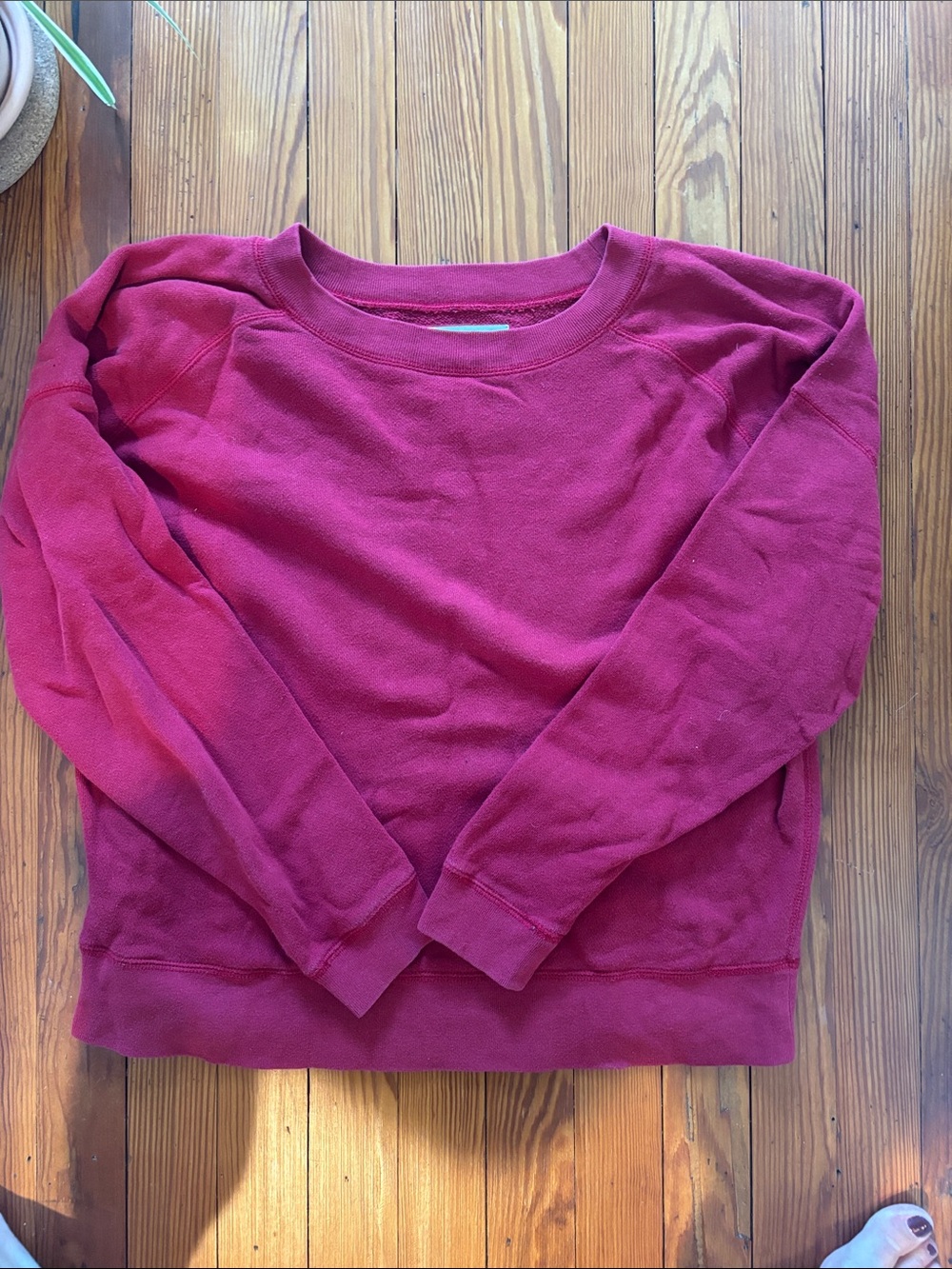 Entireworld Women’s Dark Red Crewneck Sweatshirt, M